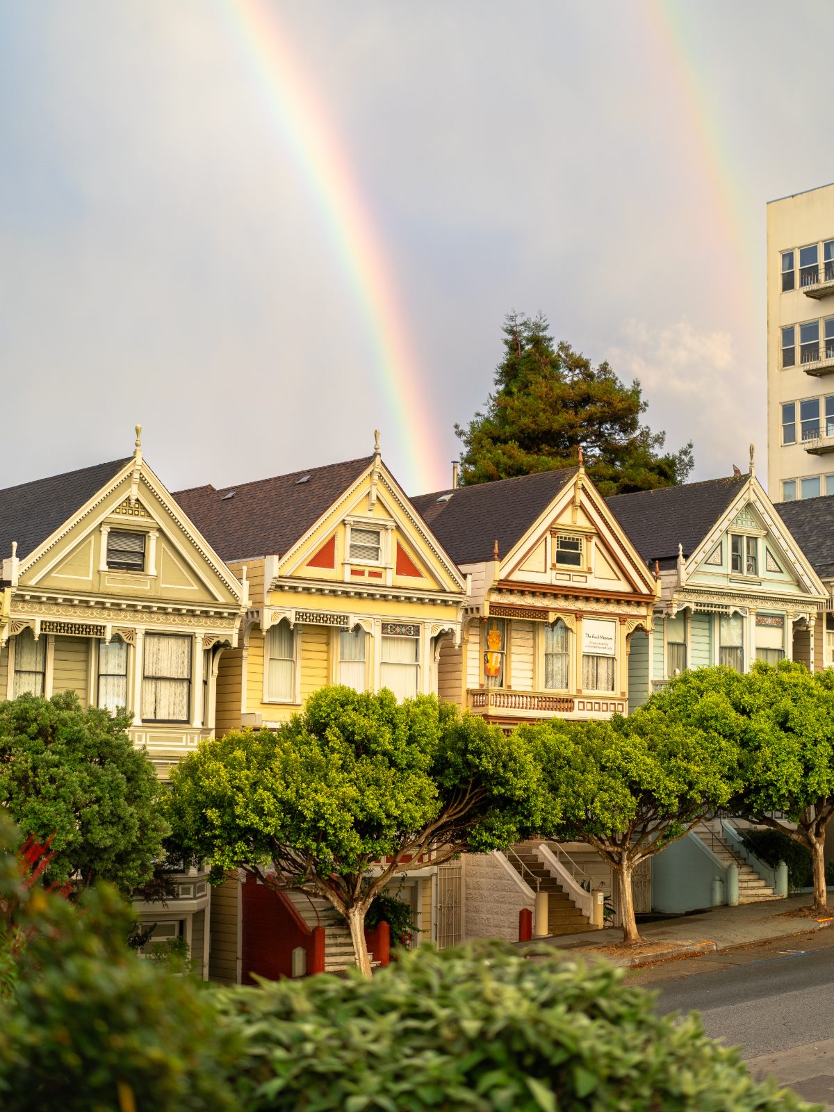 painted-ladies